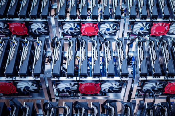 IT hardware. Cryptocurrency business equipment. Two rows of electrical devices.